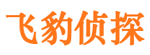 洪雅市私人调查